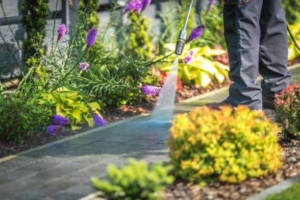 Best Animal Enclosure Cleaning  in Nassau Bay, TX
